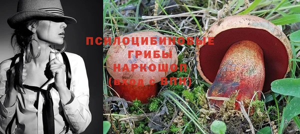 винт Армянск