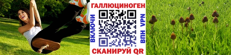 Псилоцибиновые грибы мицелий наркота Меленки